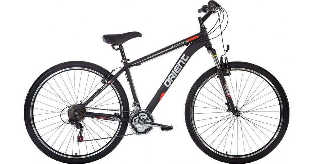 Orient: Steed Eco 29''