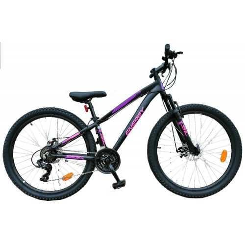 Energy: Enigma Disc 27.5''